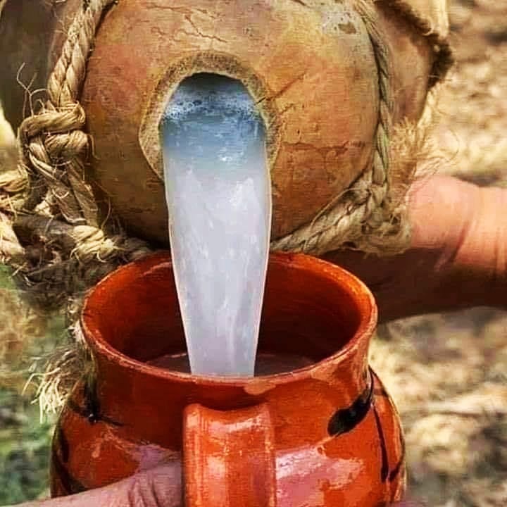 Foto tratta da: Carthage Magazine