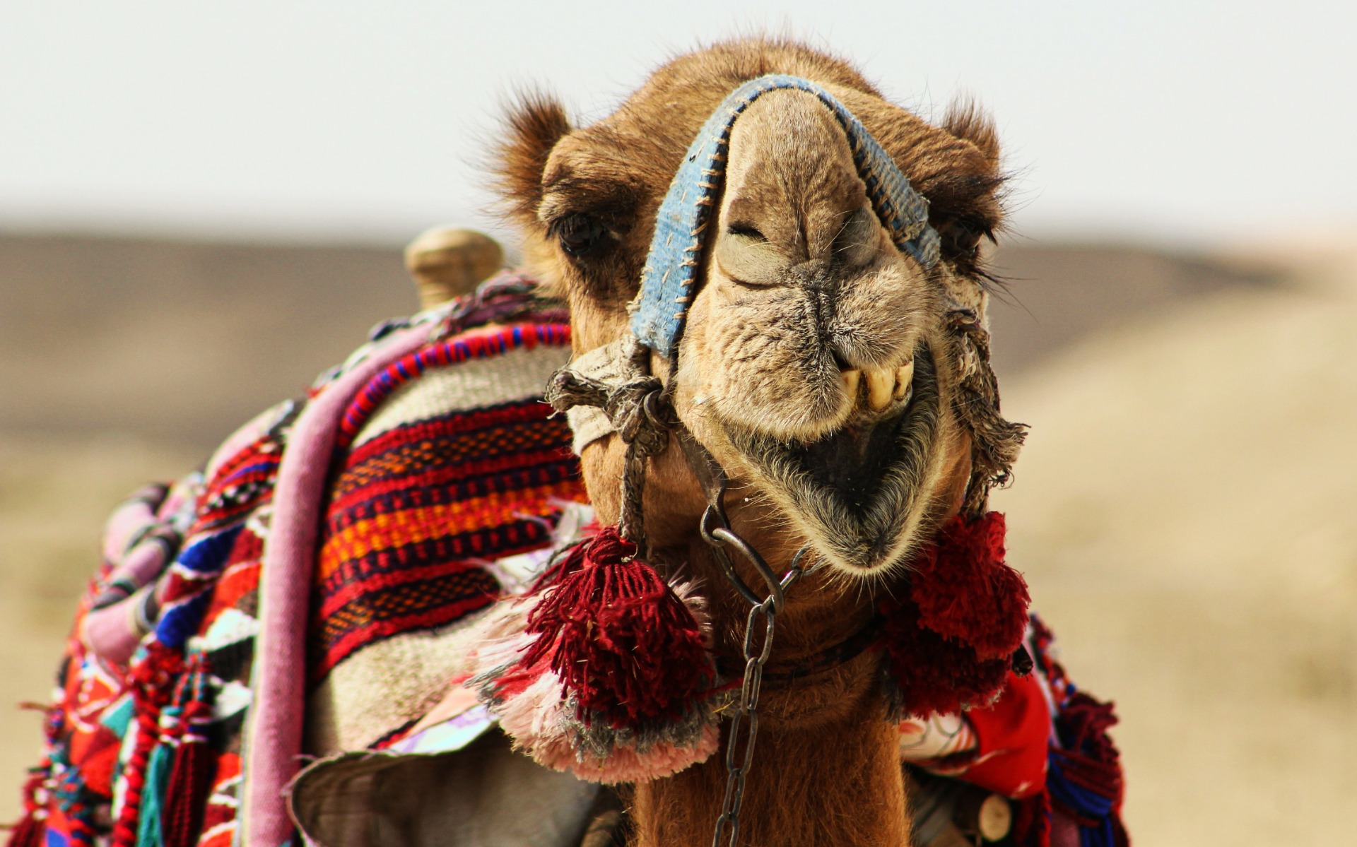 Foto di: Carlota O. - unsplash